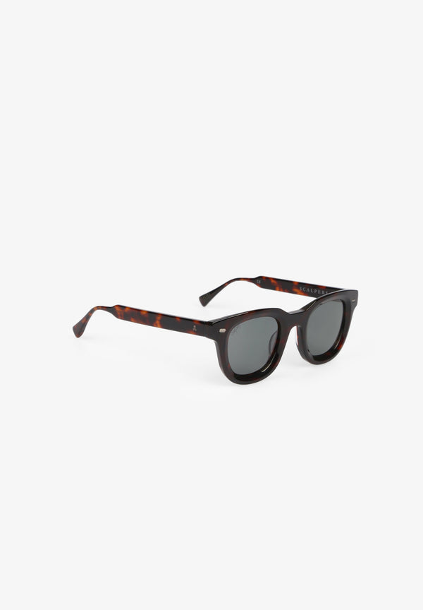 TORTOISESHELL SUNGLASSES